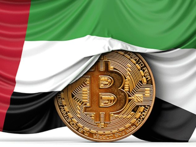 UAE Prime Minister-established medical care good cause turns out to be first to greenlight crypto gifts = The Bit Journal