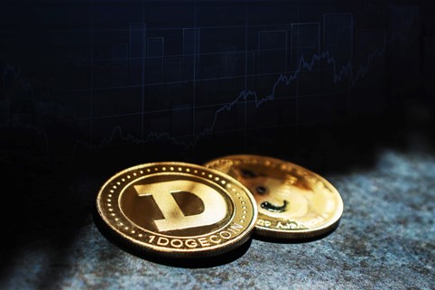 What Will Be The Future Of Dogecoin? = The Bit Journal