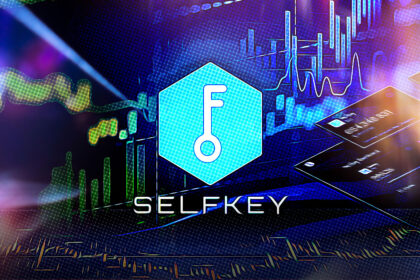 Introducing SelfKey Token: A Guide for Beginners