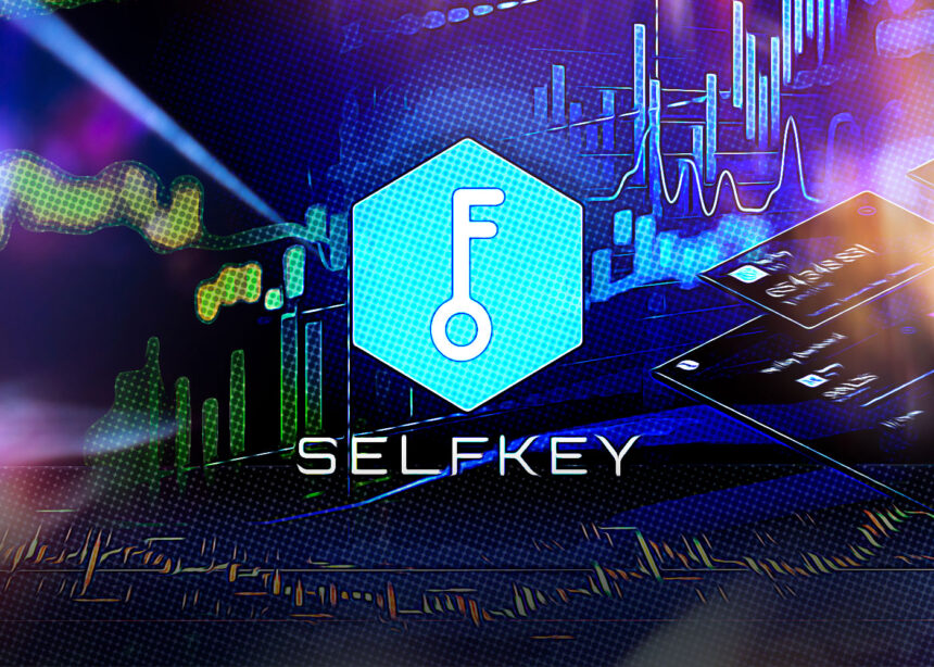 Introducing SelfKey Token: A Guide for Beginners