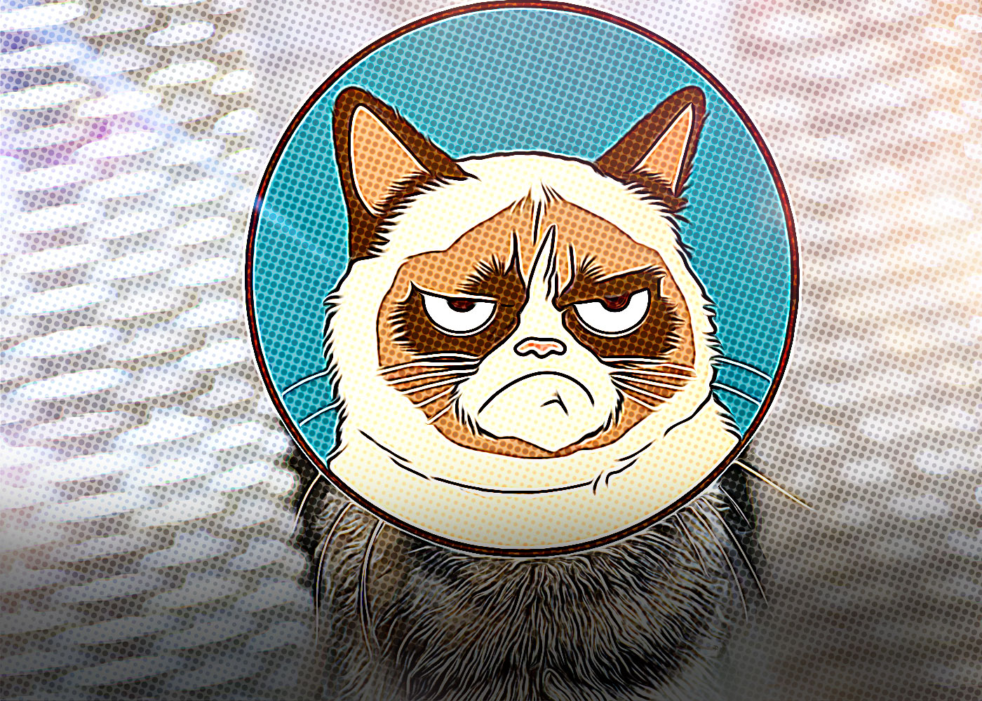Grumpy Cat Meme Token Sparks Copyright Controversy in the NFT Space = The Bit Journal