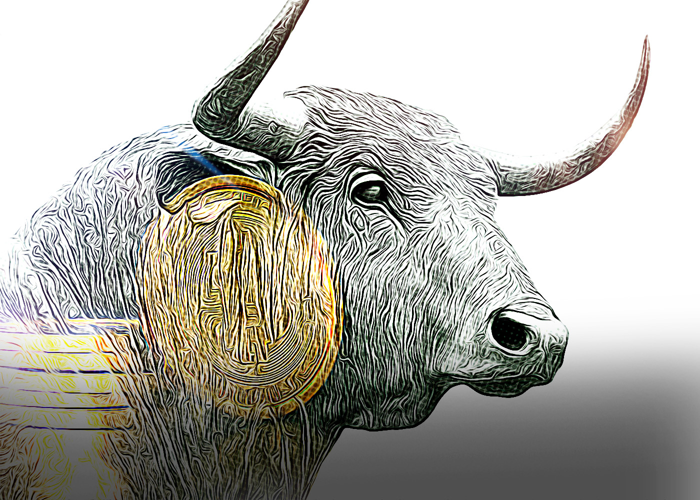 What Will Bring the Crypto Bull! Solana (SOL) Founder Announced