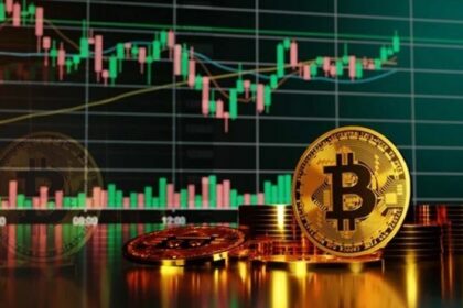Markus Thielen BTC Price Forecast: Analyst Predicts $50K Drop Before Parabolic Run Amid Bitcoin Sentiment Shifts = The Bit Journal