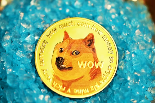 MoonBag Presale Soars High: Surpassing Dogwifhat and Dogecoin in Gains, Forecasted for a 10x Surge Post-Launch = The Bit Journal