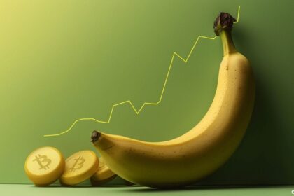 Analysis and Future Prospects for BANANA Coin Price.