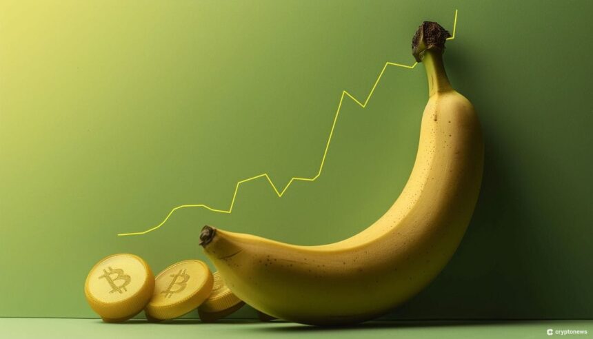 Analysis and Future Prospects for BANANA Coin Price.