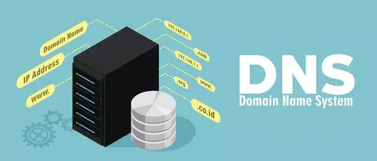 DNS registry attack