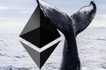 Crypto Whales Activity Intensifies with $50M Ethereum Transfer Ahead of US ETF Launch = The Bit Journal