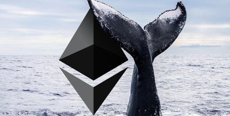 Crypto Whales Activity Intensifies with $50M Ethereum Transfer Ahead of US ETF Launch = The Bit Journal