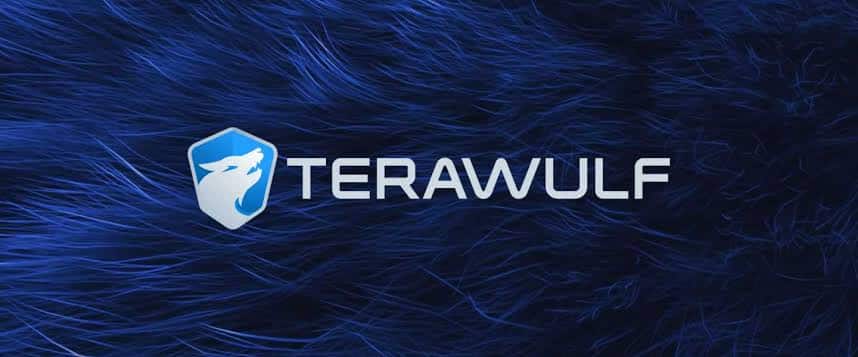 TeraWulf Debt Repayment