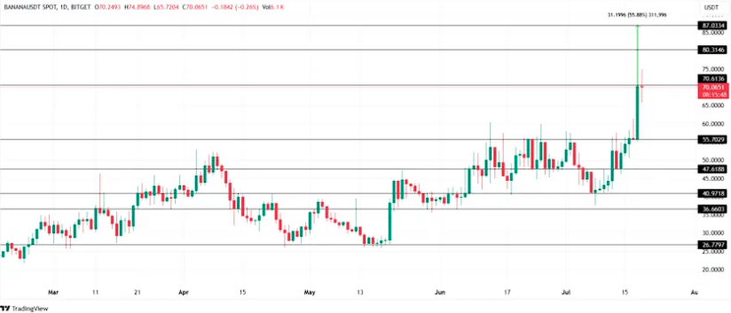 Analysis and Future Prospects for BANANA Coin Price. 