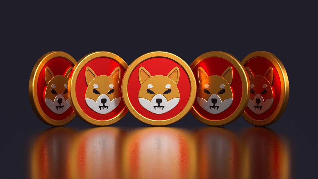 MoonBag Scalability: FastToken, Shiba Inu Encounter Challenges as Investors Turns to MoonBag’s Presale for Optimal Returns = The Bit Journal