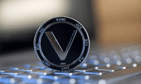 VeChain and Kangamoon’s Investors Turn to MoonBag’s Top Crypto Presale in 2024 for Consistent Profits  = The Bit Journal