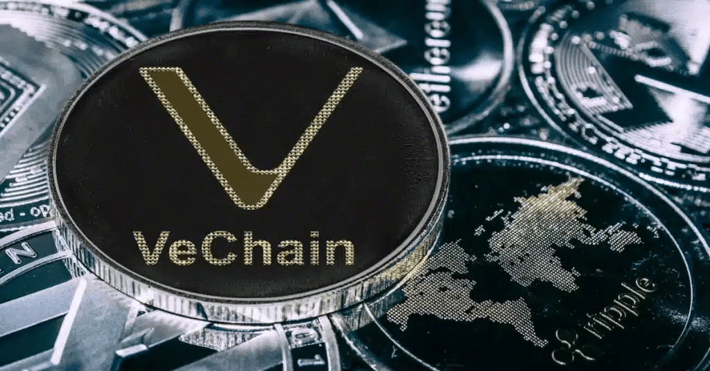 As VeChain and Book of Meme Lose Their Popularity, MoonBag Thrives to Become The Best Presale in 2024 = The Bit Journal