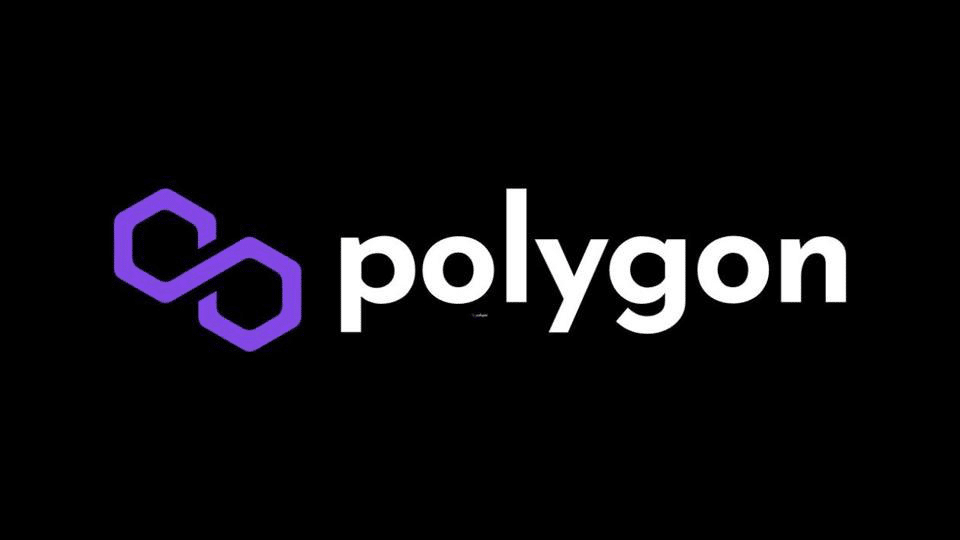 MoonBag Presale On Its Way to Success as Polygon Heads South = The Bit Journal