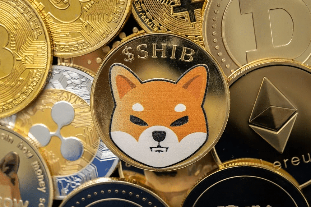 MoonBag Leads Meme Coin Battle Over Shiba Inu with Staking And Referral Programs = The Bit Journal