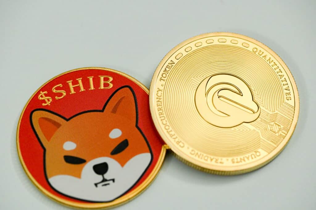 Shiba Inu (SHIB) Price: Bitcoin Correlation and Potential for Recovery Explored