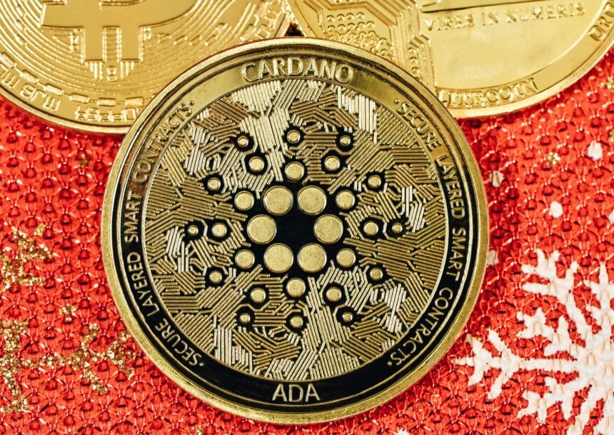 Cardano (ADA) Price to Be Impacted by Diverging Investor Sentiments