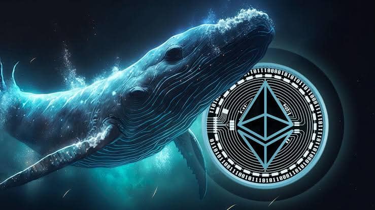 Ethereum Gas Fees Hit Low as Whale Activity Declines