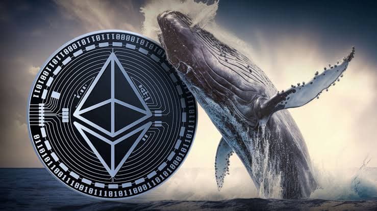 Ethereum Gas Fees Hit Low as Whale Activity Declines