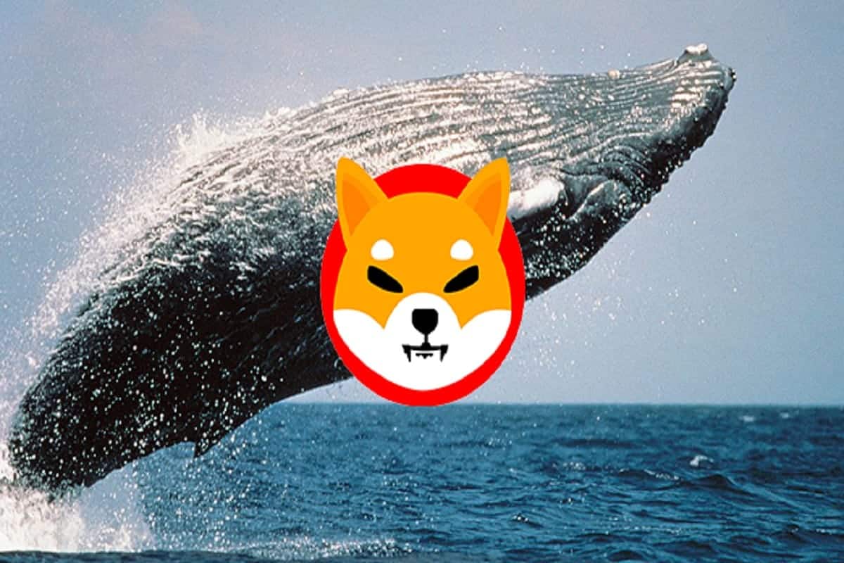 Whale Accumulates Shiba Inu SHIB: Massive Investment Amidst Bear Market 