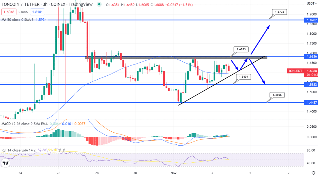 Toncoin Price Projection