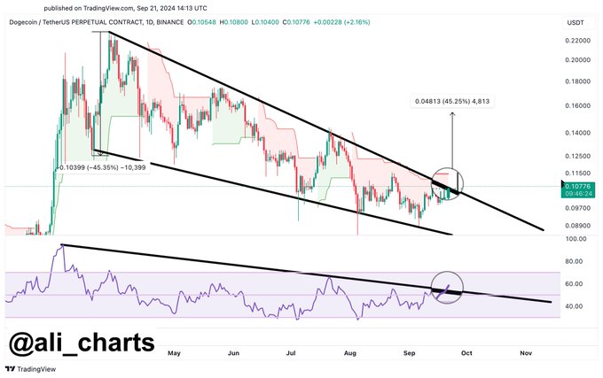 Is This Meme Coin Ready to Explode? A 45% Rally on the Horizon? = The Bit Journal