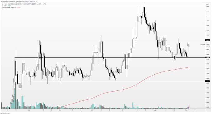 Altcoin Expert Expects a Drop in These 3 Coins, But Then… = The Bit Journal