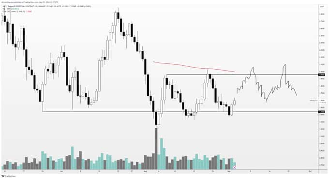 Altcoin Expert Expects a Drop in These 3 Coins, But Then… = The Bit Journal