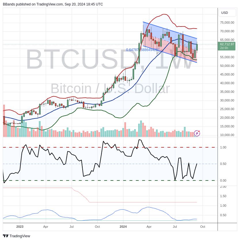 Is a New Bitcoin Bull Run on the Horizon? Insights from Bollinger and Two Experts = The Bit Journal