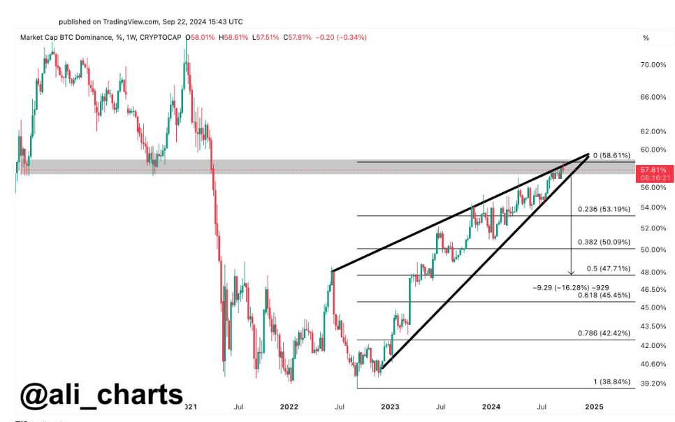 Analyst's Bold Signals: Altcoin Season Is Just Around the Corner! = The Bit Journal