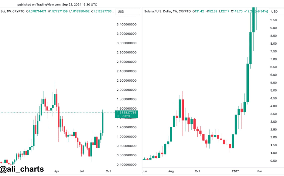 Analyst's Bold Signals: Altcoin Season Is Just Around the Corner! = The Bit Journal