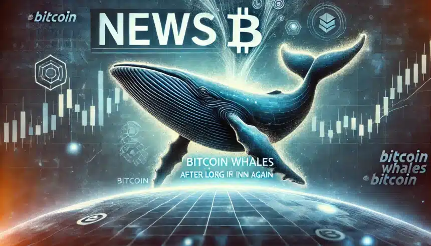 Dormant Bitcoin Whales Awaken After 11 Years: What Does It Mean? = The Bit Journal