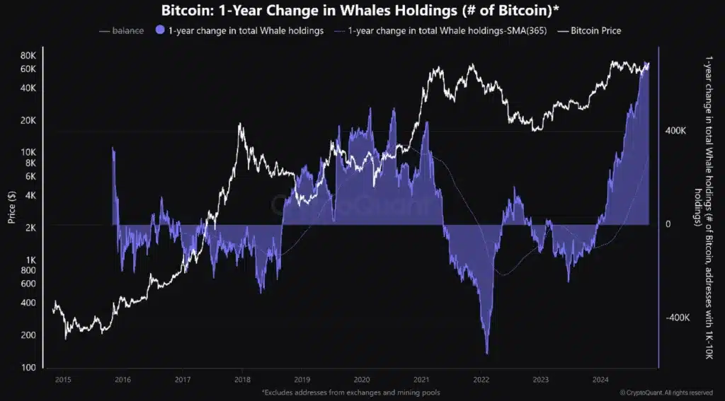 Bitcoin Whales Flex Their Muscles: Is a New Record on the Horizon? = The Bit Journal