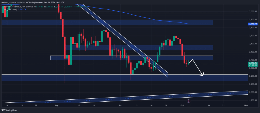 Ethereum’s Price Volatility: Is the Market Bracing for a Crash? = The Bit Journal