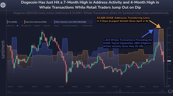 Seasoned Analyst Predicts a 180% Rally for This Meme Coin! = The Bit Journal