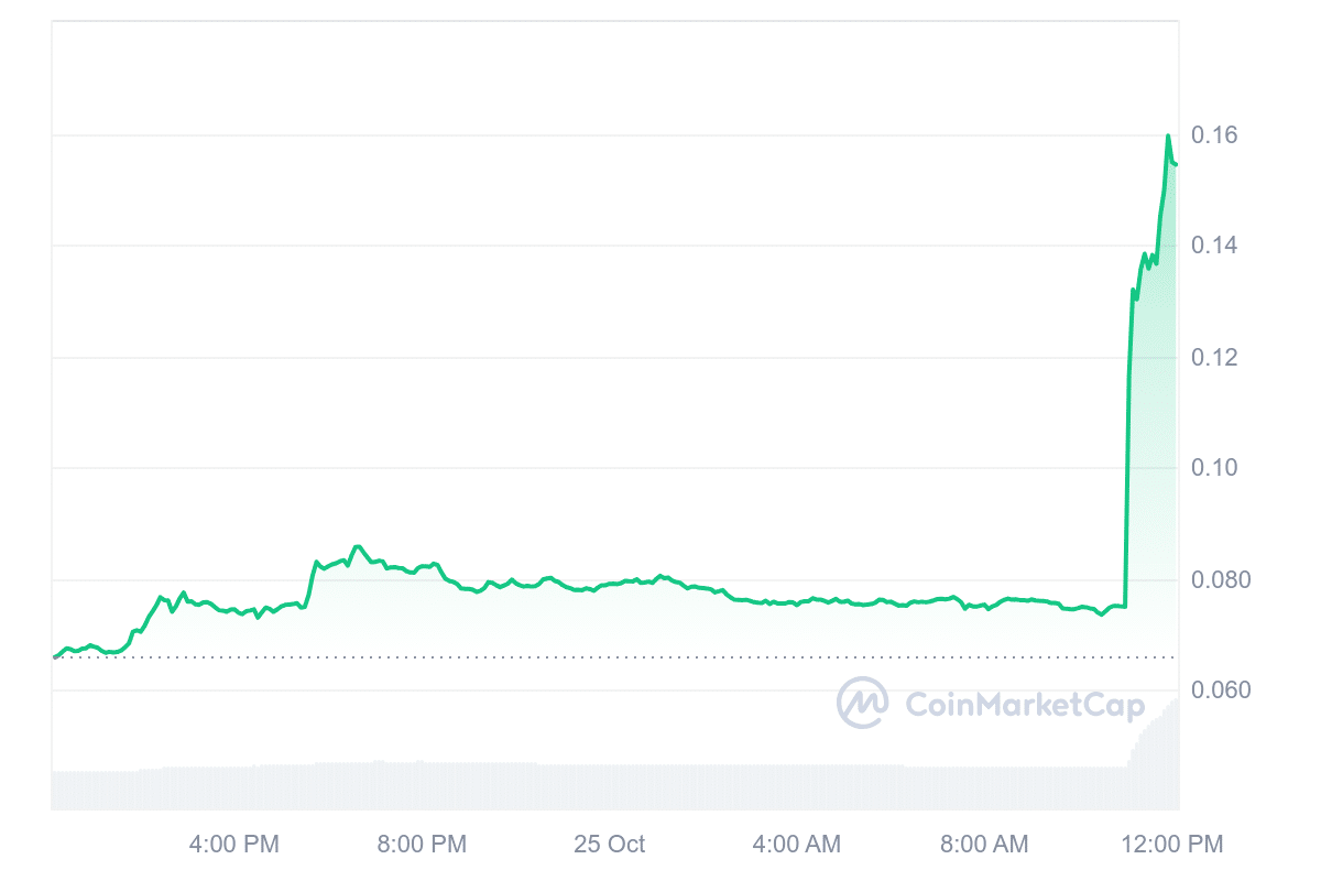 Binance Sends Meme Coin Soaring: Futures Announcement Triggers 2.5X Surge! = The Bit Journal