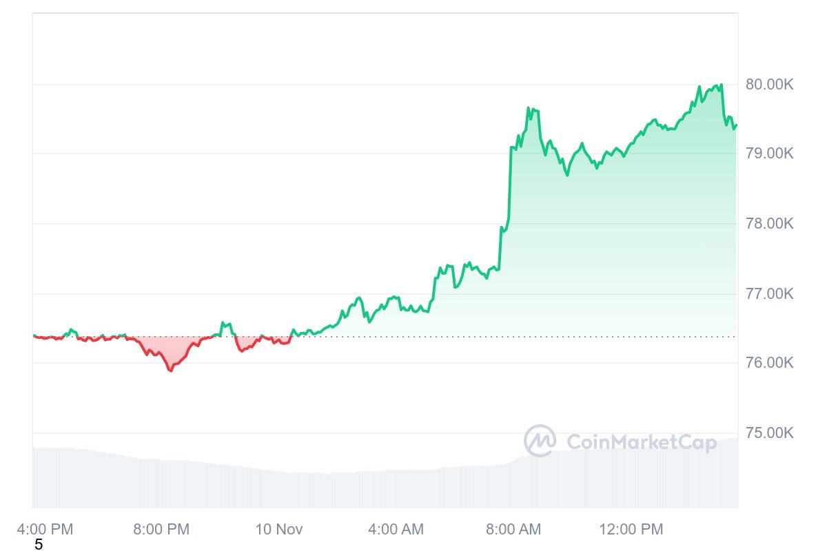 Bitcoin Surpasses $80,000: Will the Rally Continue or is a Correction Imminent? = The Bit Journal