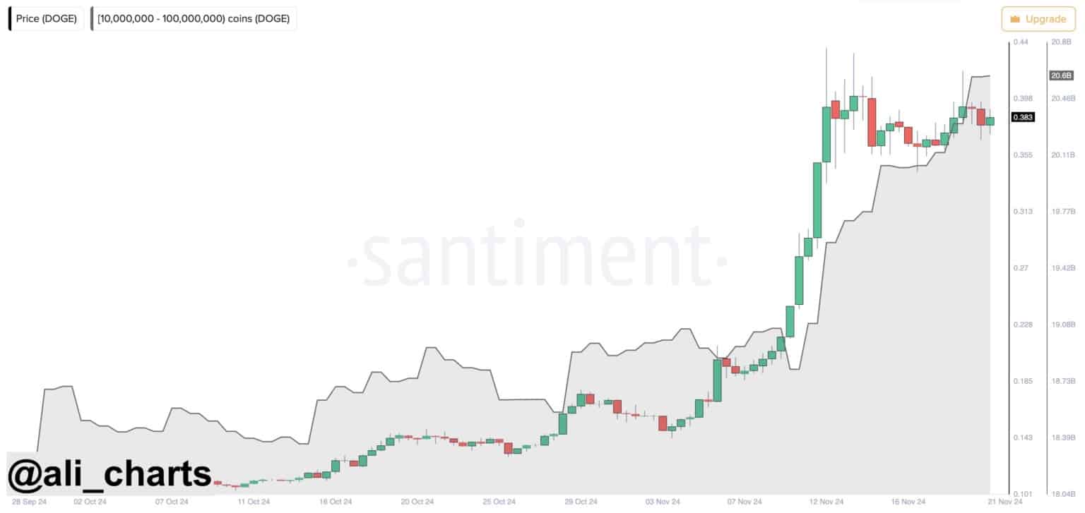 Das explosive Potenzial von DOGE Coin: Analyst prognostiziert einen großen Ausbruch = The Bit Journal