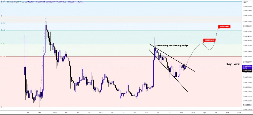 Shiba Inu Price Surge Ahead: What’s the New Target? = The Bit Journal