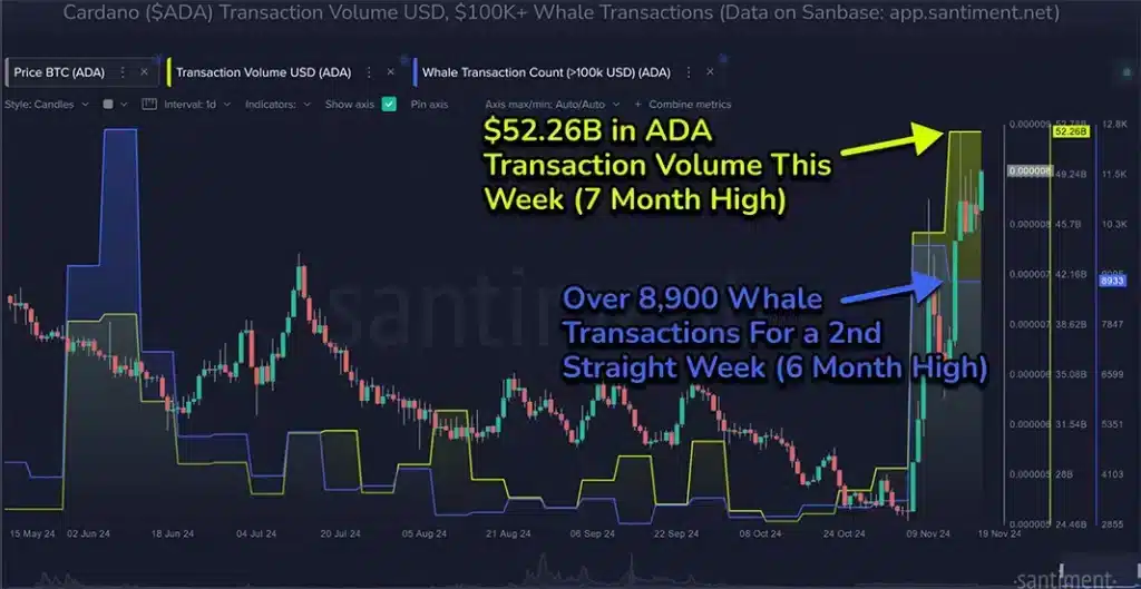 Setzt sich die Rallye von Cardano fort? Wichtige technische Signale zum Beobachten = The Bit Journal