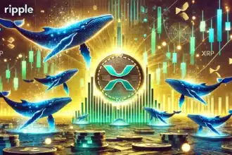 XRP Ripple Whales Are Back: Is a Massive Bull Run Around the Corner?