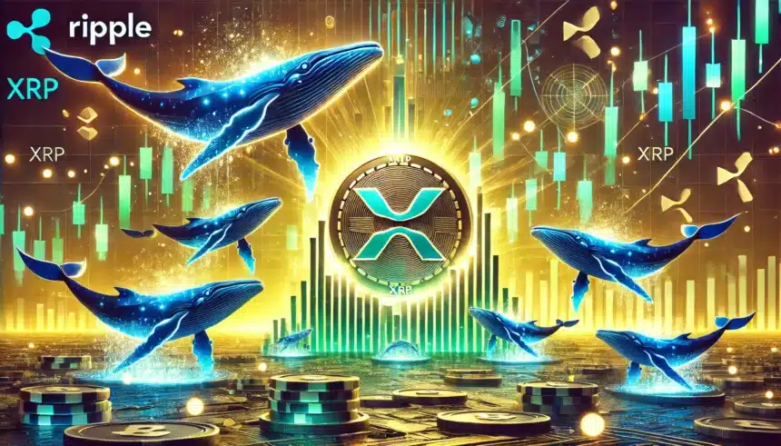 XRP Ripple Whales Are Back: Is a Massive Bull Run Around the Corner?