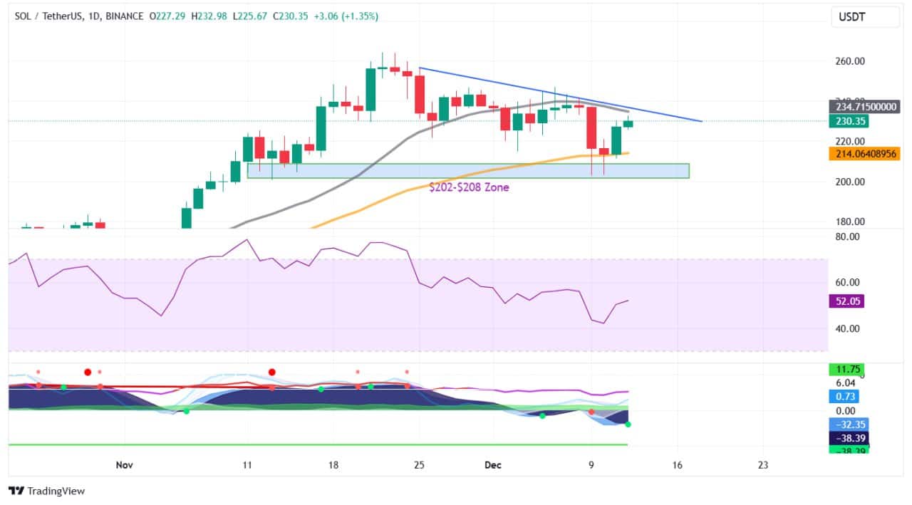 Bitcoin erreicht wieder $100K, was kommt als nächstes für SOL und zwei vielversprechende Altcoins? = The Bit Journal