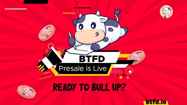 BTFD Coin Takes Charge Moo Deng’s Viral Pygmy Hippo Success and Book of Meme’s Insider Drama Shake the Crypto World