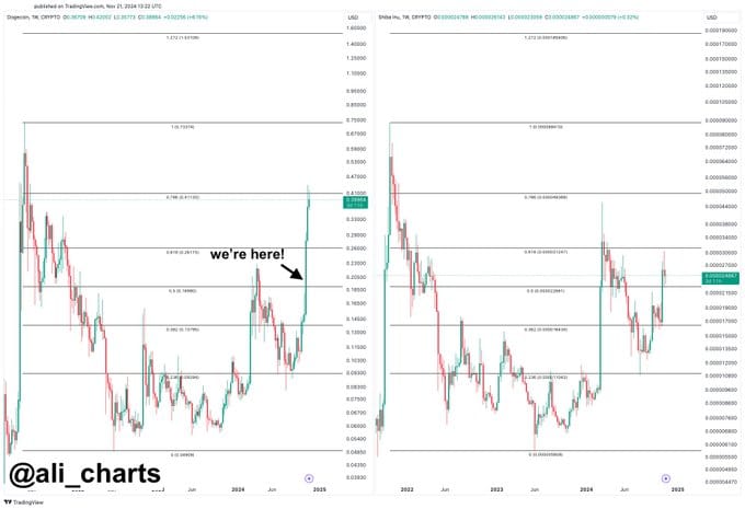 Shiba Inu Set to Follow Dogecoin’s Footsteps: A Potential 85% Surge? = The Bit Journal