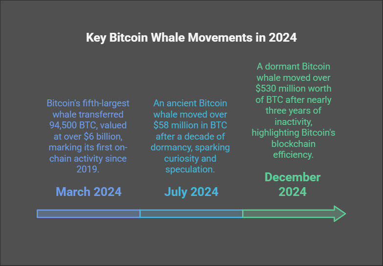 Bitcoin Whales Wake Up: Massive Transfers Signal Potential Market Shifts Ahead