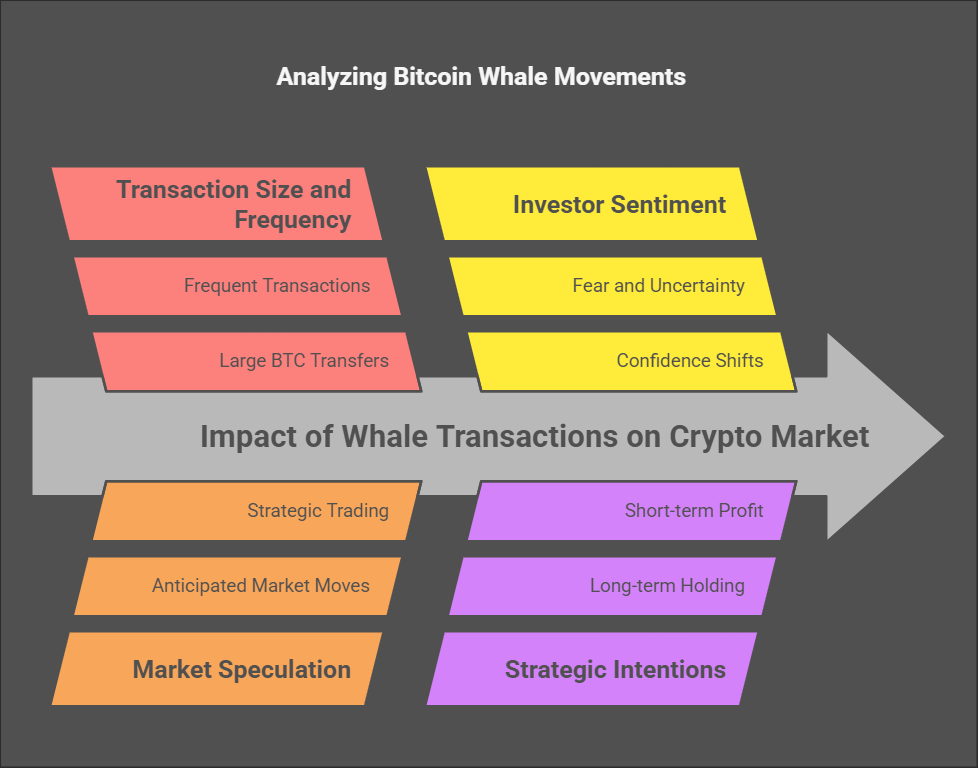 Bitcoin Whales Wake Up: Massive Transfers Signal Potential Market Shifts Ahead