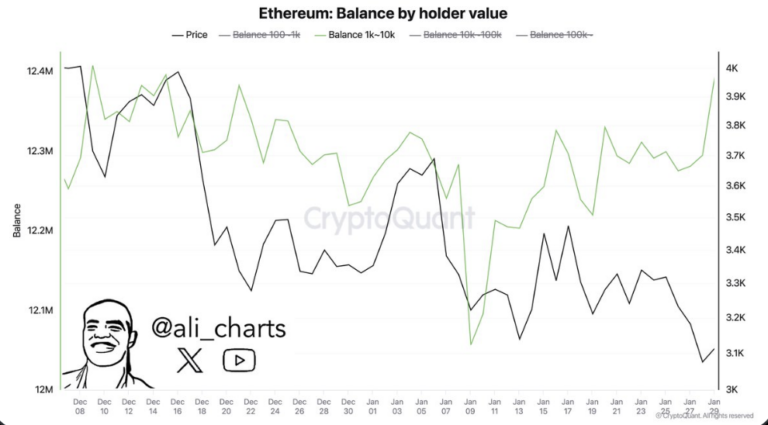 Ethereum Whales Go on a Buying Frenzy: What’s Next for ETH? = The Bit Journal