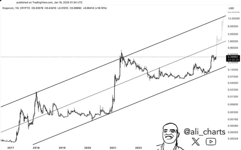 Dogecoin Whale Accumulation Fuels Optimism: Is 40X Possible? = The Bit Journal